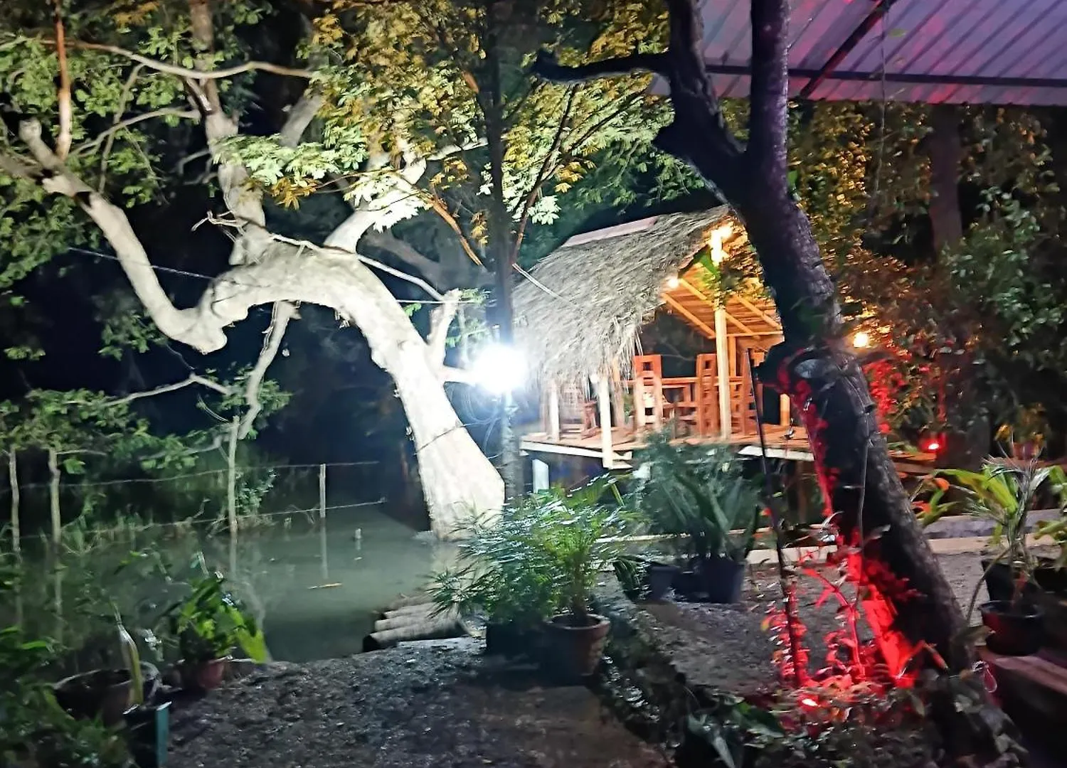 Nature Lotus Villa Dambulla Homestay