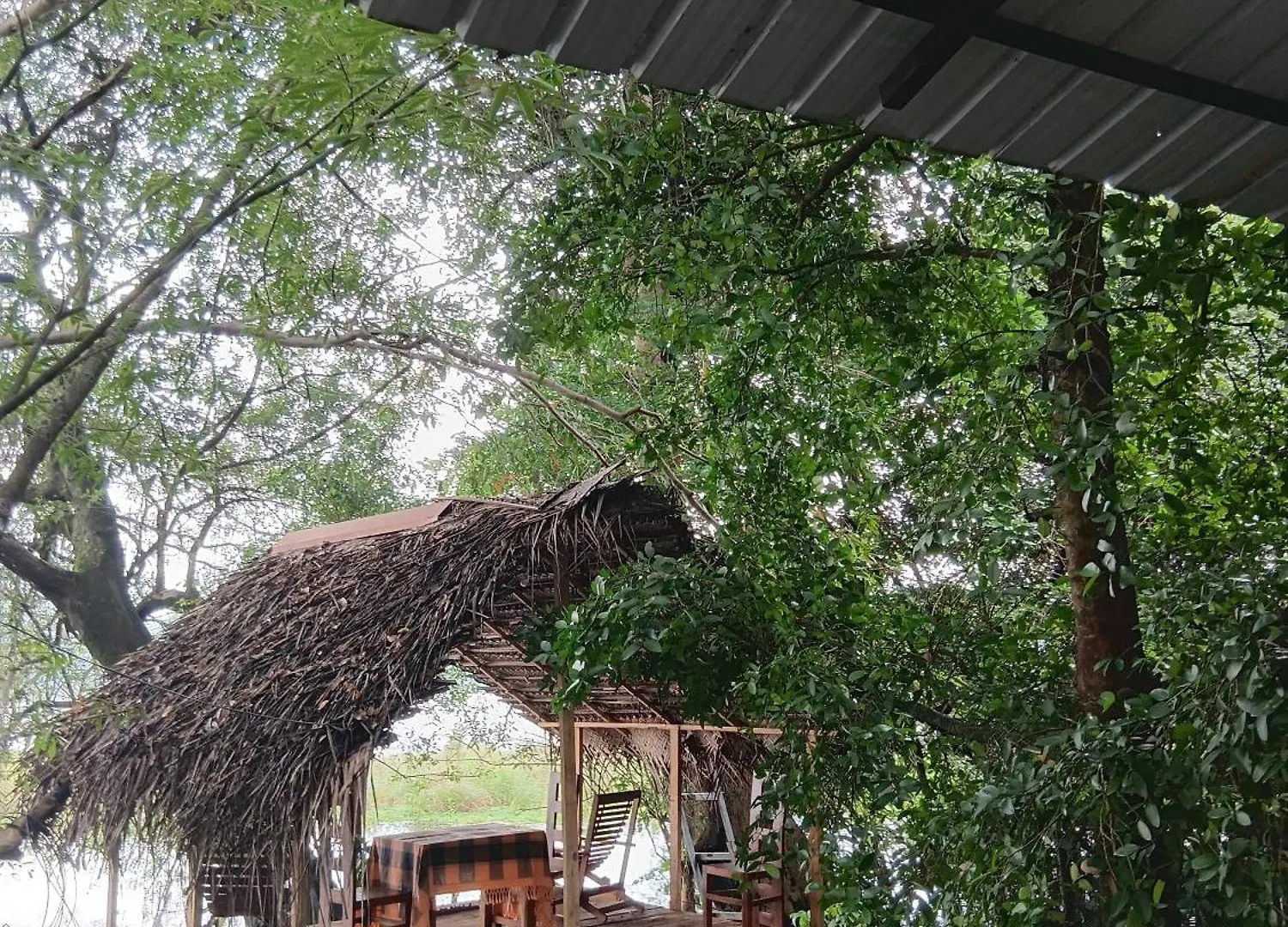 Homestay Nature Lotus Villa Dambulla Sri Lanka