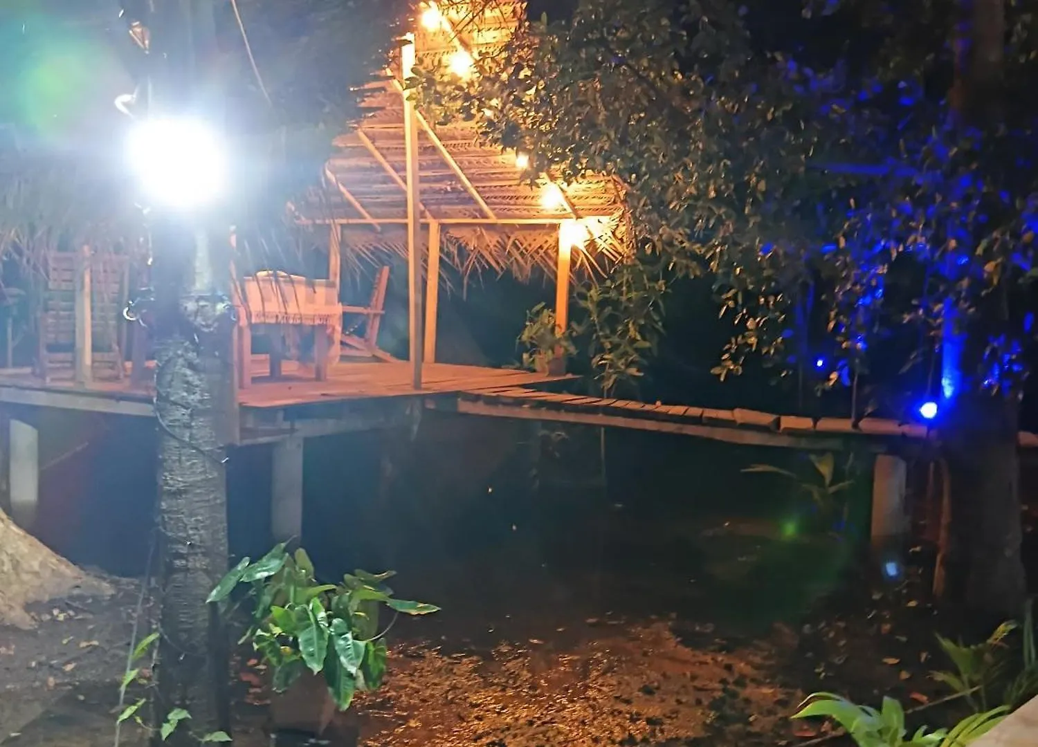 Nature Lotus Villa Dambulla
