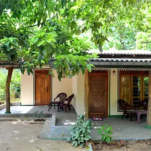Lodge Sigiriya Freedom, Dambulla